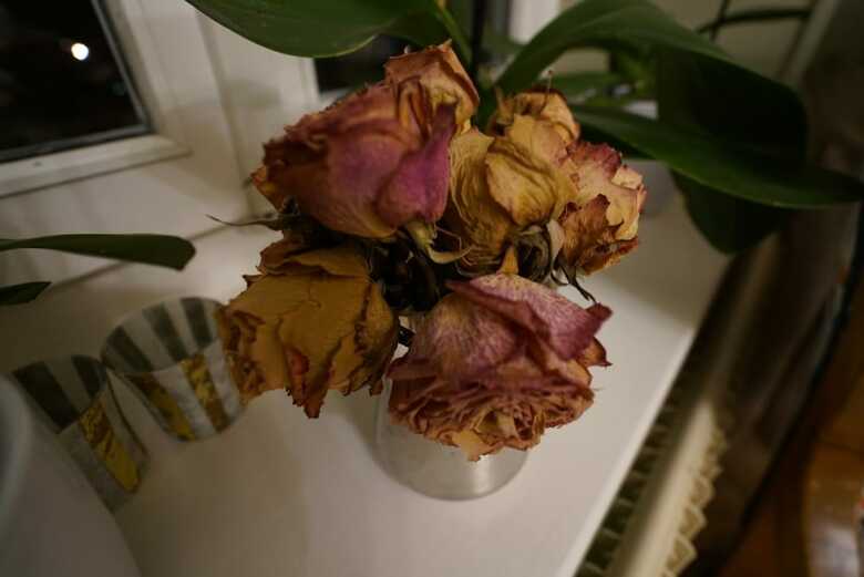 Alpenrose Hotel & Gardens