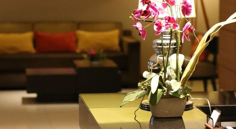 Hotel The Dawin Bangkok
