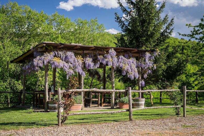 Agroturismo Le Cetinelle B&B