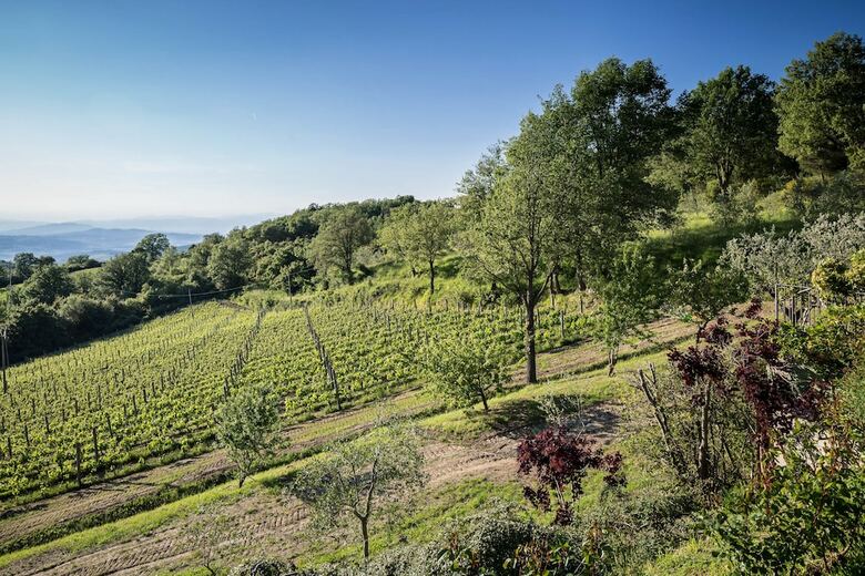 Agroturismo Le Cetinelle B&B