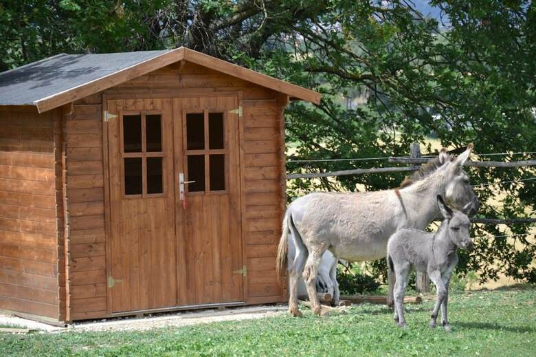 Agroturismo Perugia Farmhouse