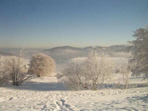 Hostal Gasthaus Sonne