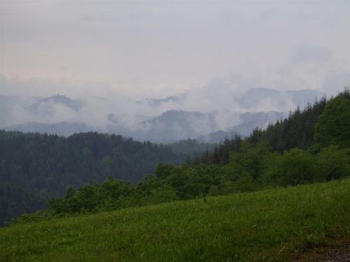 Hotel Schwarzwald Kniebis