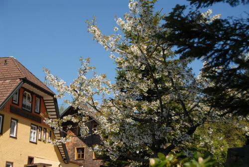 Hotel Schwarzwald Kniebis