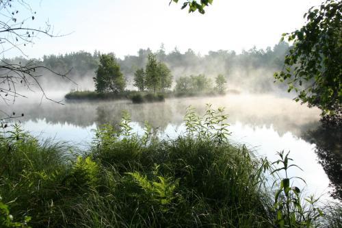 Landhotel Alte M�hle