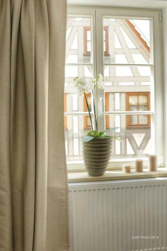 Apartment Am Schlosshof