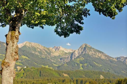 Hotel Alpenblick