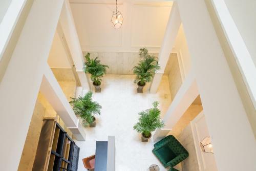 Apartamentos Iloftmalaga Premium Alameda Principal