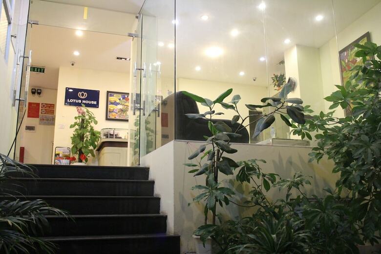 Apartamentos Lotus House