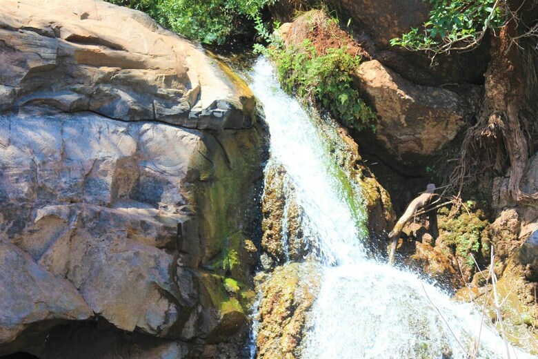 Posada Twiga Travel