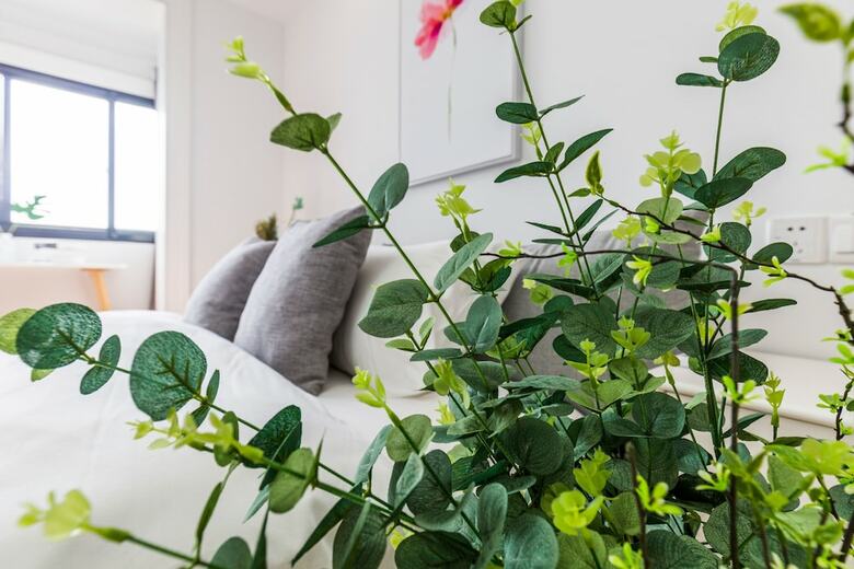 Lazy Apartment - Zhaojiabang Road