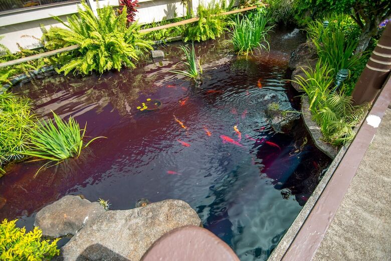 Apartamento Napili Shores Maui By Outrigger