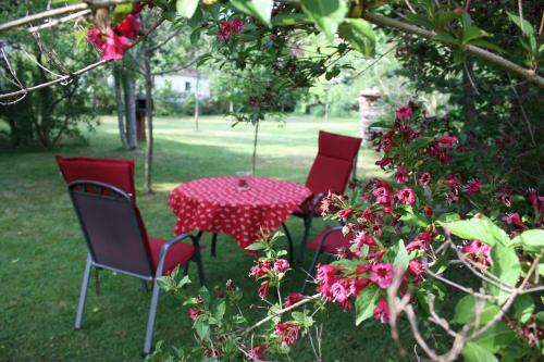 Apartamento G�stehaus Roseneck