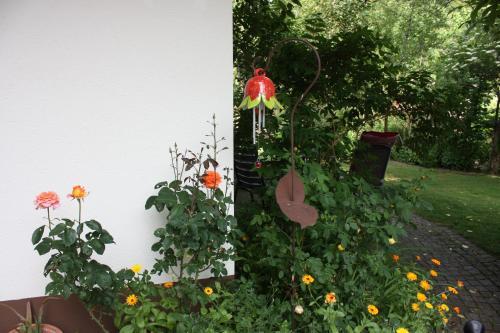 Apartamento G�stehaus Roseneck