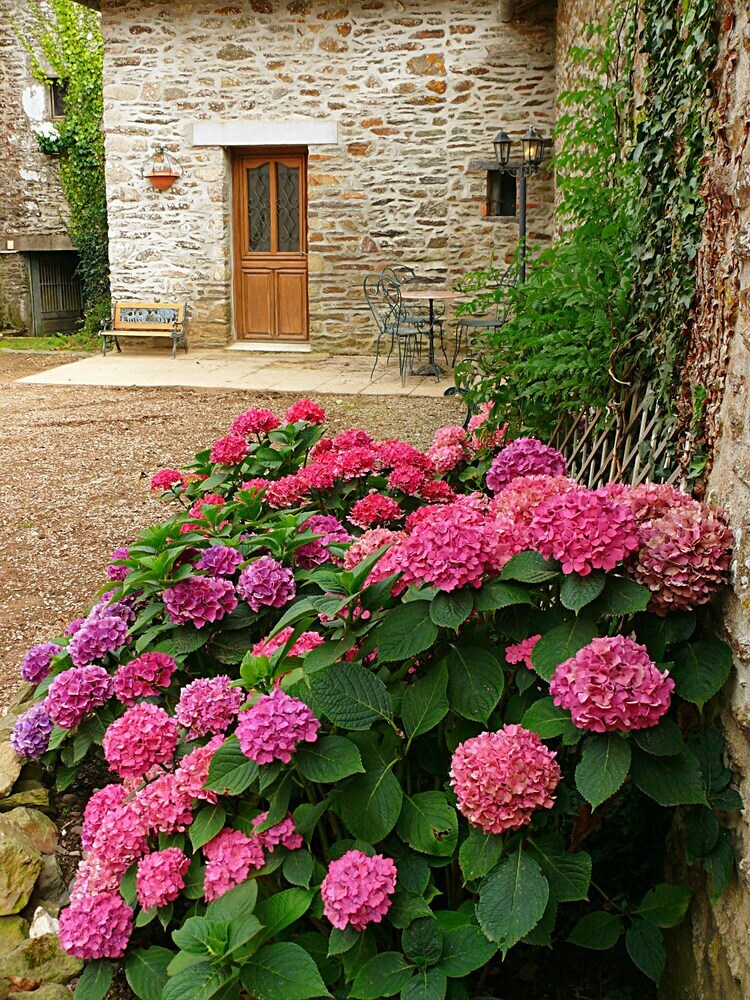 The Breton Apartment At Chateau Le Mur