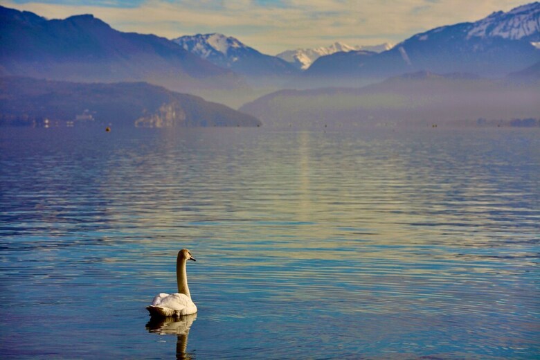 2 Bd Apartment With Sauna- Center Annecy