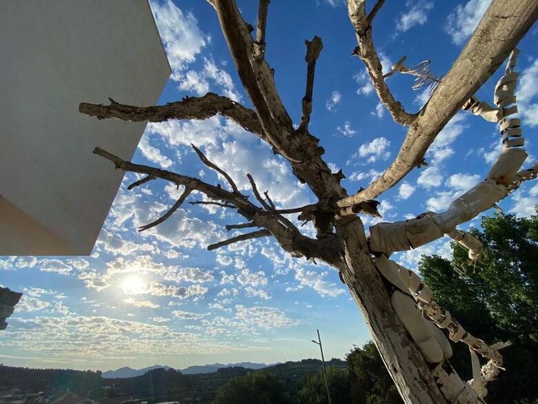 Agroturismo Casa Portalico