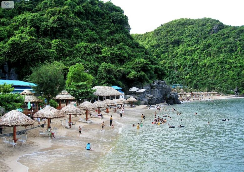 Hotel Dtj Hometel Ha Long
