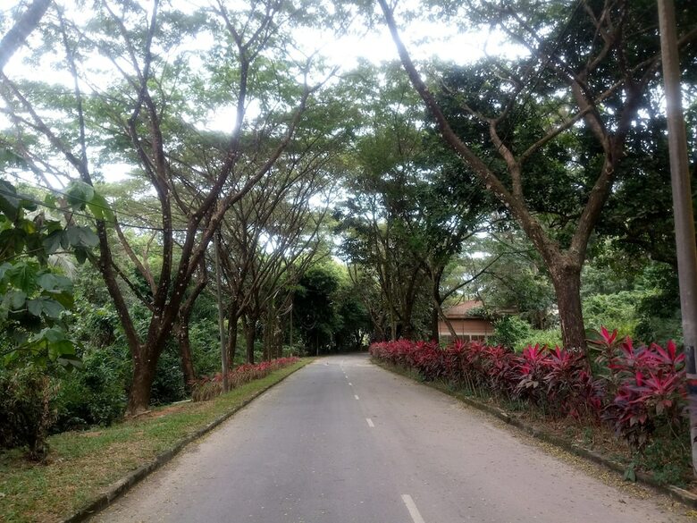 Janaview Taiping Hotel