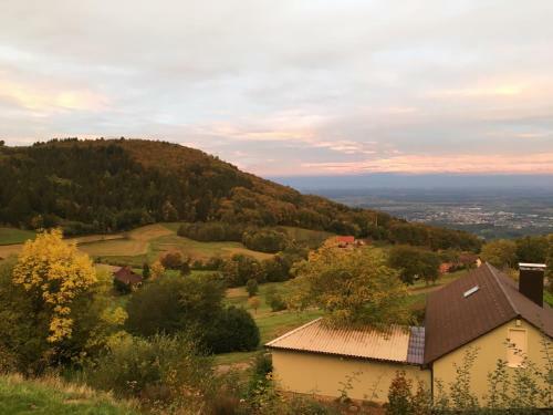 Hotel Berghof Gr�ner Baum