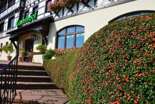 Relaxhotel Tannenhof