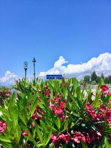 Apartamento Hotel Amtshof
