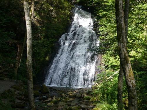 Fichtenhof Am Wasserfall
