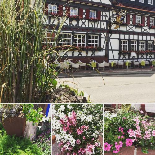 Hotel Engel, Sasbachwalden