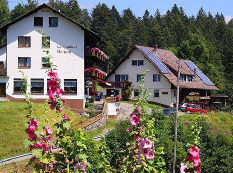 Hostal Landgasthaus Sternen