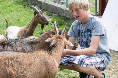 Hostal Tannenm�hle