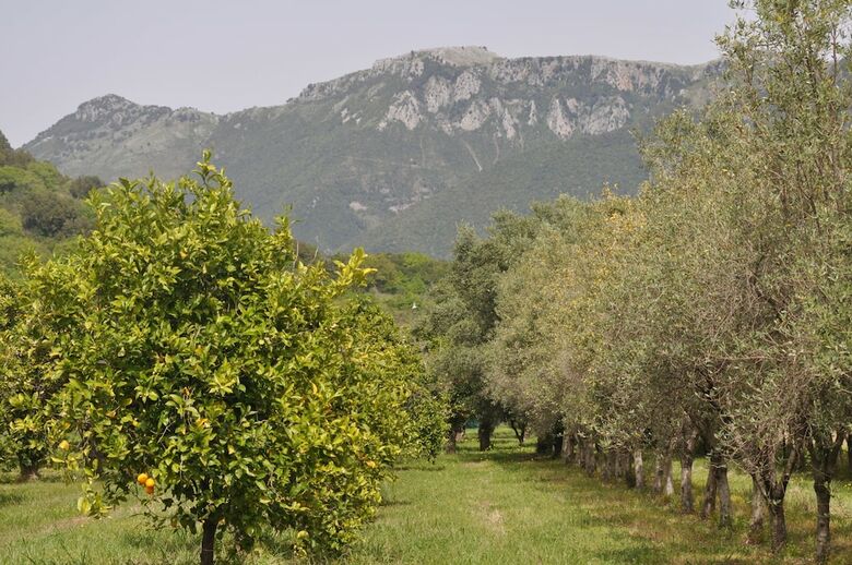 Agroturismo I Cedri