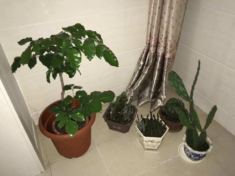 Apartamentos Shanghai Yuesu Lingling Rd No.2 Branch