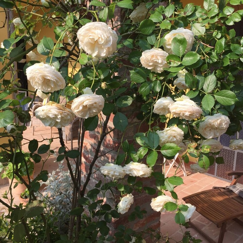 Hotel Villa Hortensia Monferrato