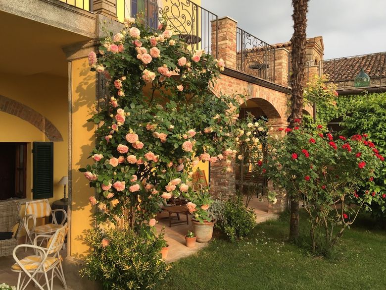 Hotel Villa Hortensia Monferrato