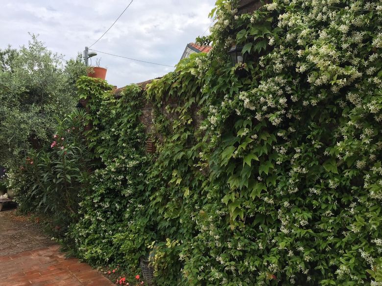 Hotel Villa Hortensia Monferrato