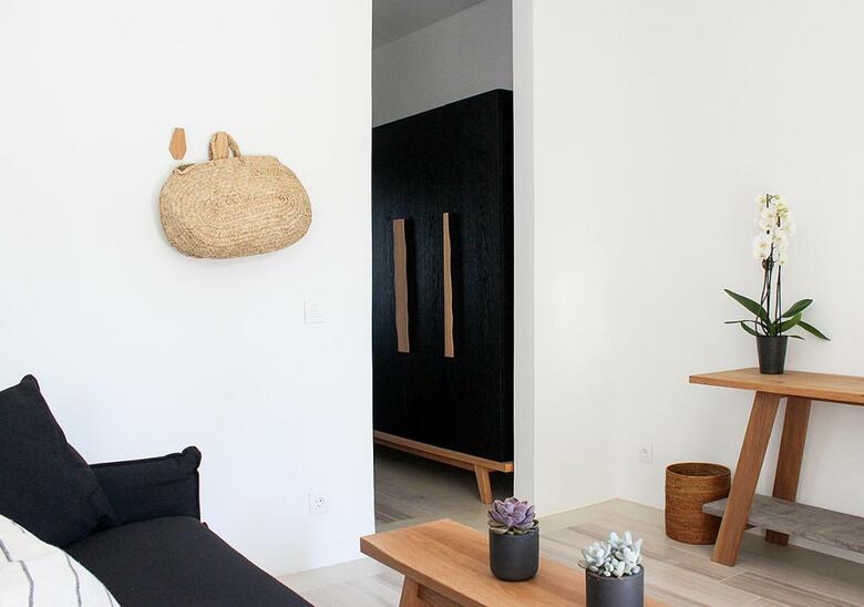 Hotel Mykonos Cactus