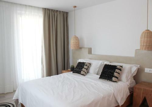 Hotel Mykonos Cactus