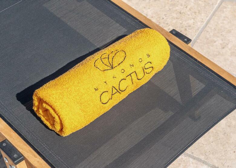 Hotel Mykonos Cactus