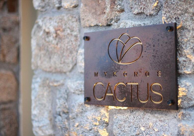 Hotel Mykonos Cactus