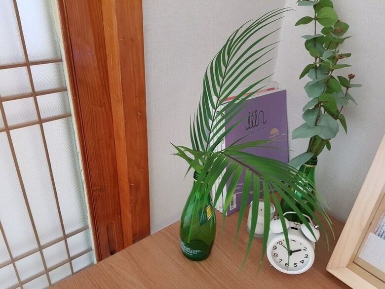 Domini's Local Style House