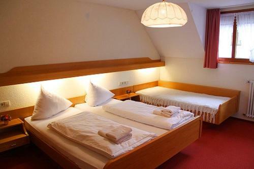 Hostal Landgasthof Adler Pelzm�hle