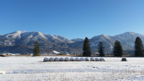 Aparthotel Alpenpark