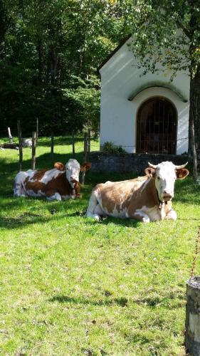 Aparthotel Alpenpark