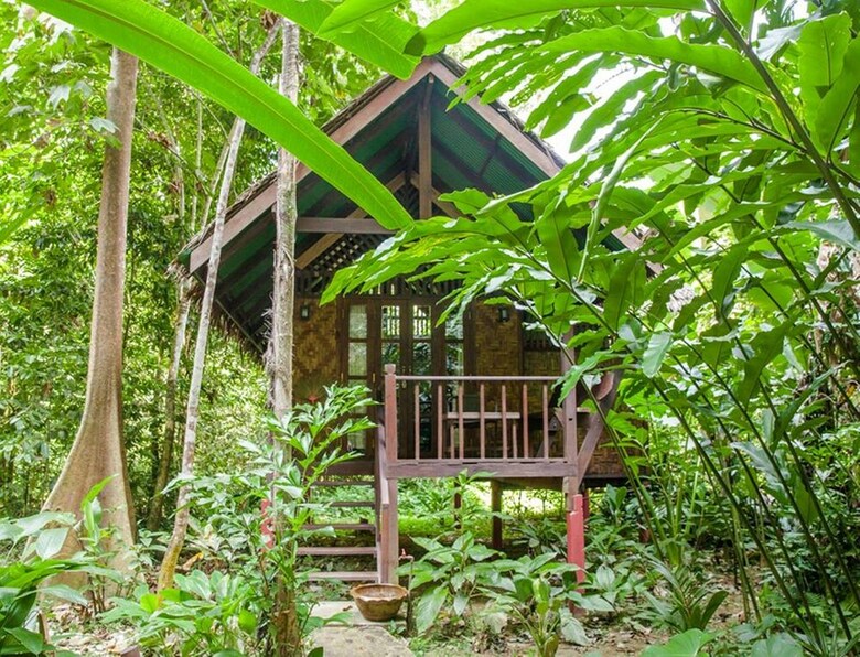 Hotel Our Jungle House