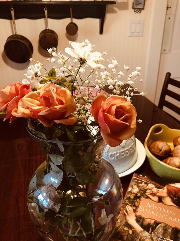 Bed & Breakfast Princess Anne Book Lovers Inn