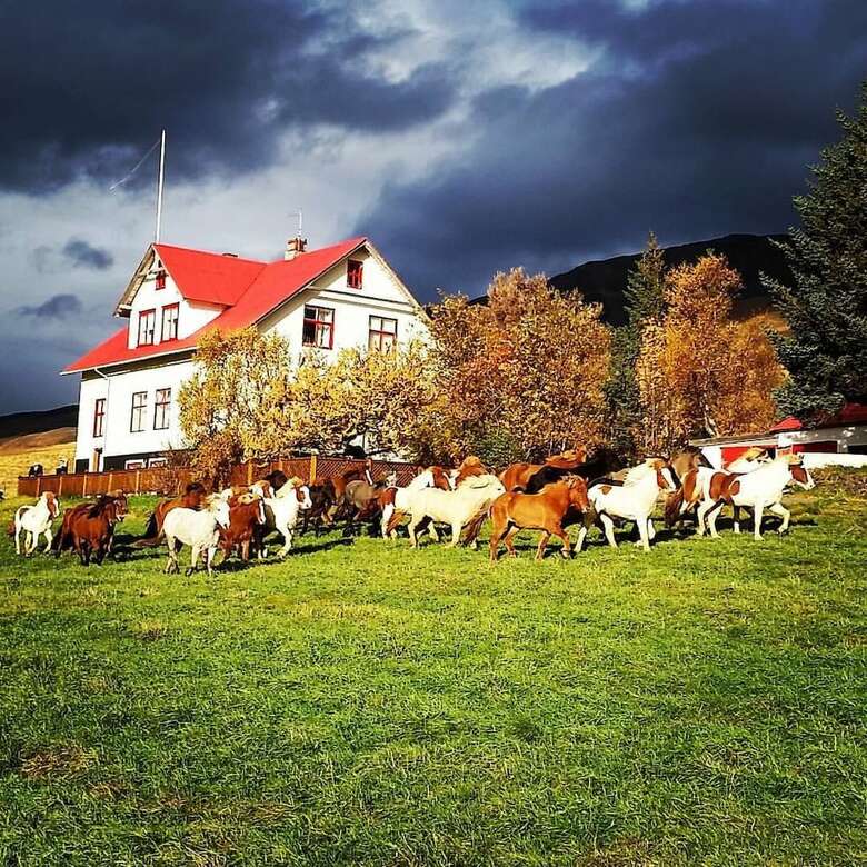 Bed & Breakfast Fer�a�j�nustan Geitaskar�i