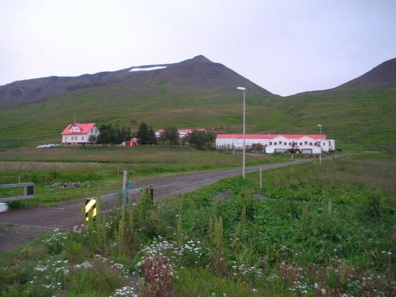 Bed & Breakfast Fer�a�j�nustan Geitaskar�i