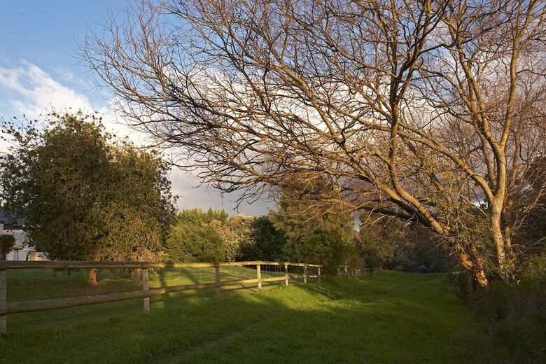 Olive Tree Country House