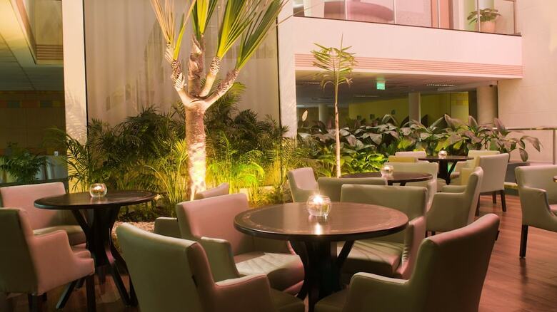 Hotel Holiday Inn Parque Anhembi