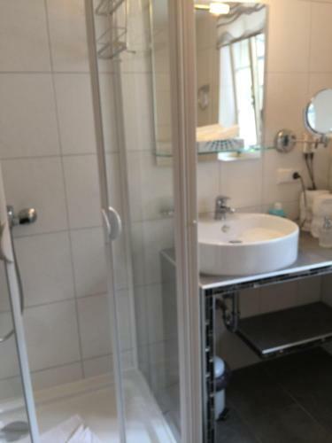 Hotel Schwanen In Der City